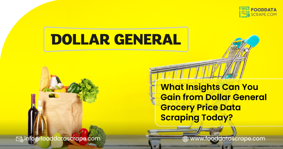 assets/img/blog/dollar-general-grocery-price-data-scraping-insights/What-Insights-Can-You-Gain-from-Dollar-General-Grocery-Price-Data-Scraping-Today