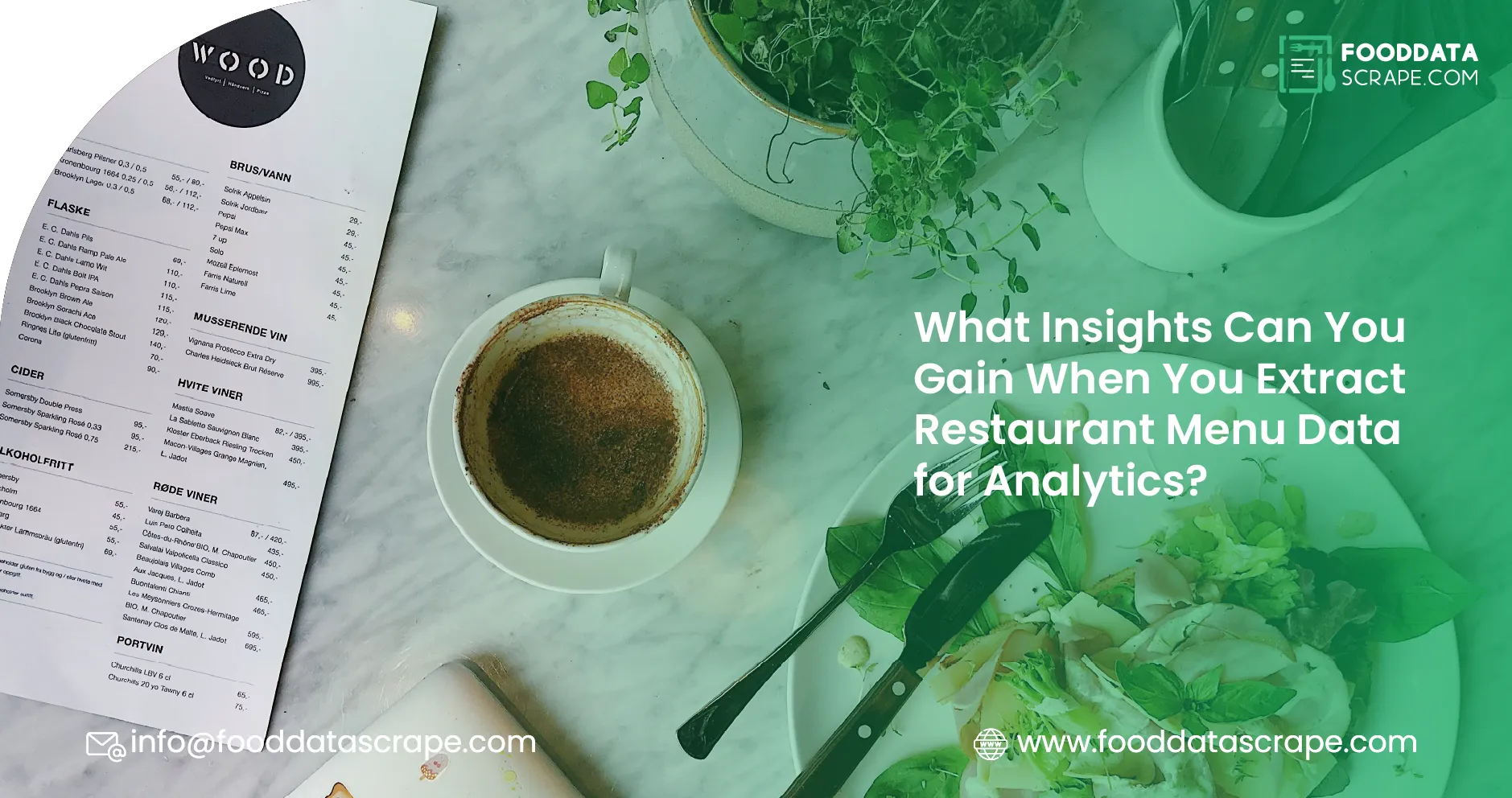 What-Insights-Can-You-Gain-When-You-Extract-Restaurant-Menu-01