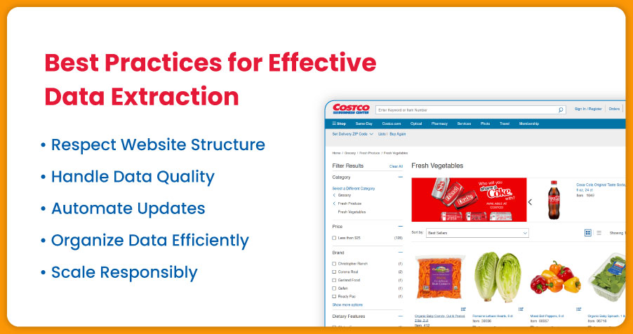 Best-Practices-for-Effective-Data-Extraction