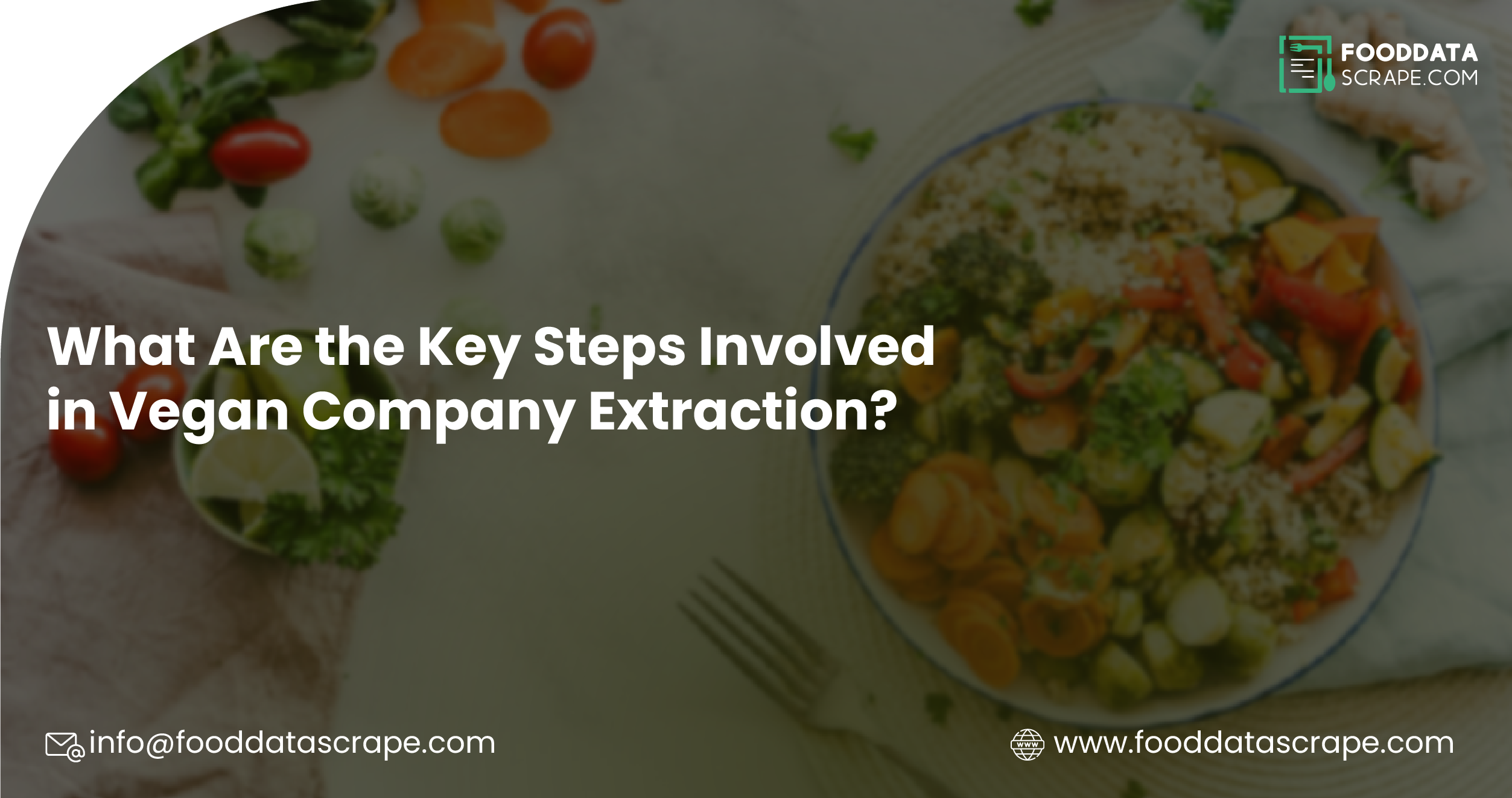 What-Are-the-Key-Steps-Involved-in-Vegan-Company-Extraction-01