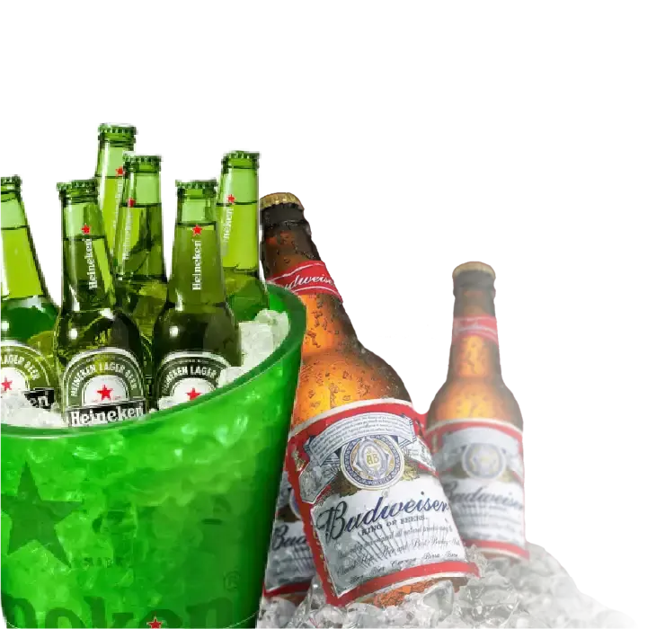 Delicious chocolate cake