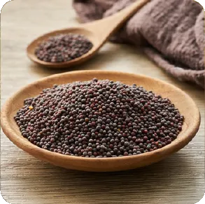 Cumin Seeds