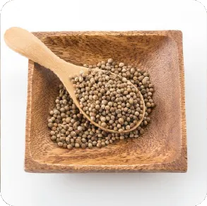 Coriander Seeds