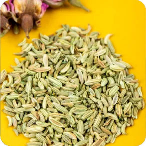 Fennel Seeds